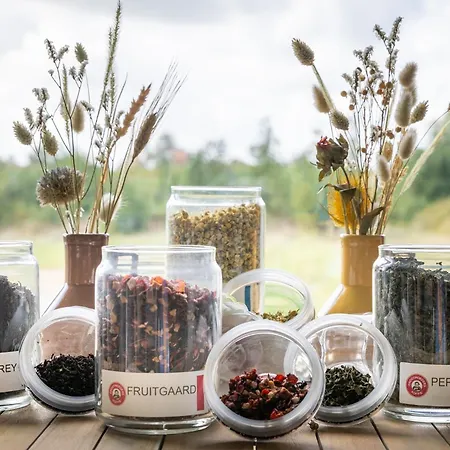 Otel Dune Nieuwpoort