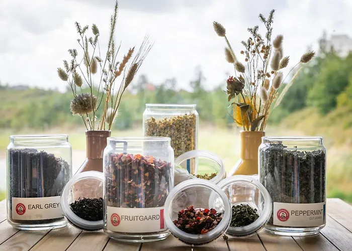 Otel Dune Nieuwpoort